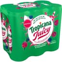 Juicy Boisson à l'eau de source pomme cassis framboise boîtes