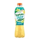 Juicy Boisson à l'eau de source au citron et citron vert