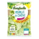 Feuille de chêne