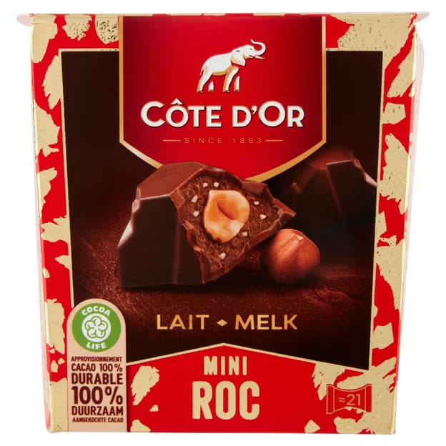 Mini roc au chocolat au lait