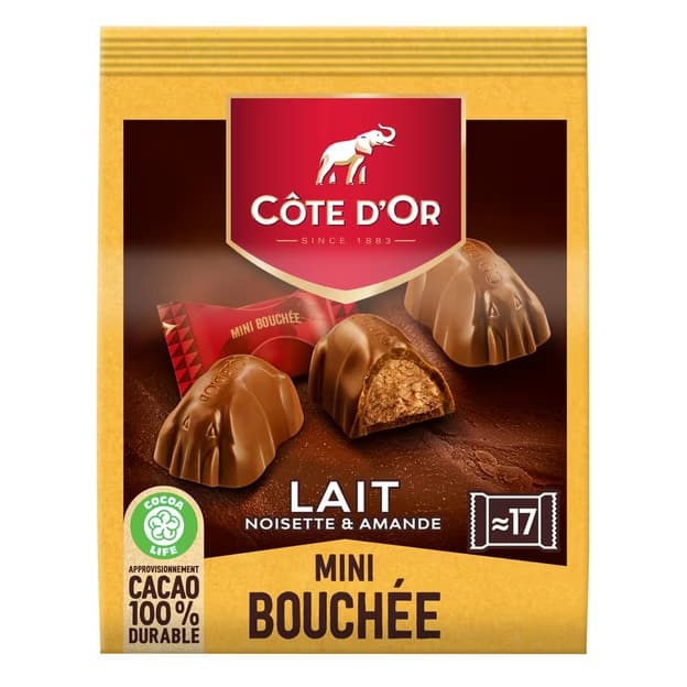 Mini bouchée chocolat au lait