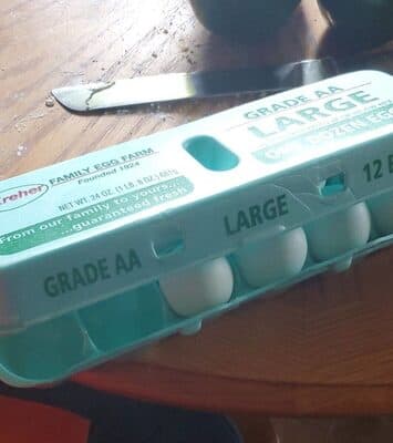 1 Egg