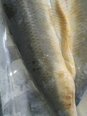 'kippers fumés