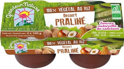 100% végétal au riz dessert praliné