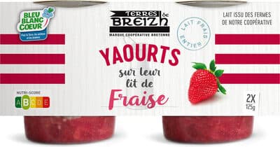 2 yaourts sur leur lit de fraise