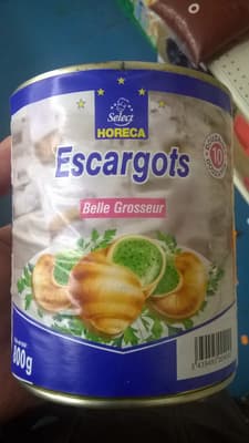 Escargots belle grosseur