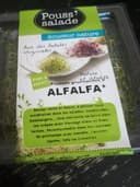 Alfalfa