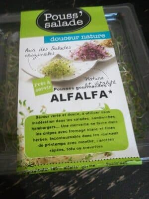 Alfalfa