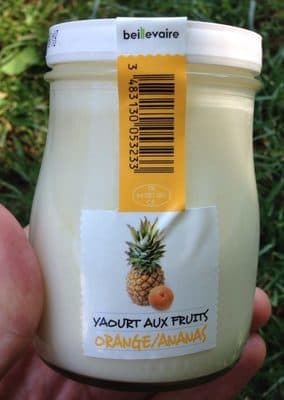 Yaourt aux fruits Orange/Ananas