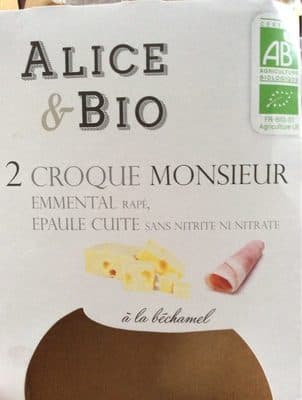 2 croque monsieur