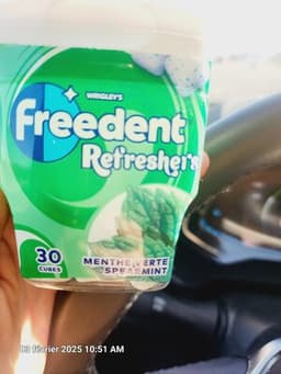 Chewing-gum sans sucres gouts menthe verte