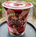 Raspberrydarkchoc