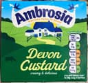 Devon Custard