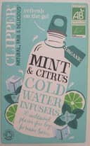 Cold Water Infusers - Mint & Citrus