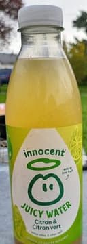 Juicy Water saveur citron et citron vert