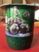 Activia Blueberry Yogurt
