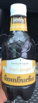 Kombucha au gingembre