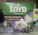 Loyd the magic experience