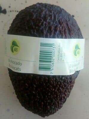 Bio - Avocat