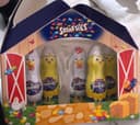 Ferme en chocolat smarties