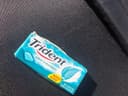 Trident Eucalipto