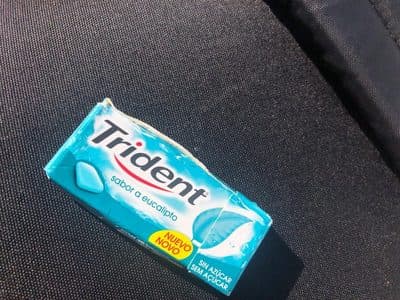 Trident Eucalipto