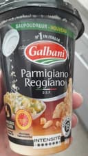 Parmigiano reggiano lait cru 28% de MG, saupoudreur GALBANI