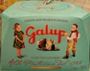 Il panettone grand Galup