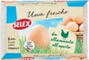 Uova fresche di vario calibro da allevamento all'aperto