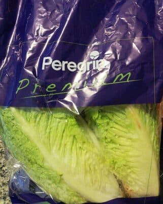 Lechuga romana