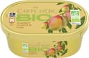 CARTE D'OR Glace Sorbet Bio Mangue d'Inde 450ml