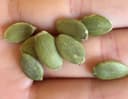 Graines De Potirons (200 GR)