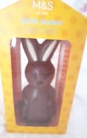 Alfie bunny