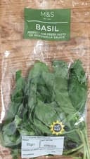 Basilic / Basil