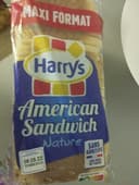 american sandwich nature