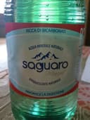Acqua minerale naturale Saguaro effervescente naturale