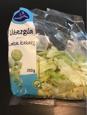 Laitue Iceberg