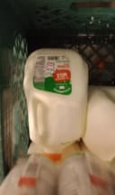 2 % reduced fat milk