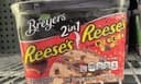 2in1 Reese’s & Reese’s Pieces Ice cream