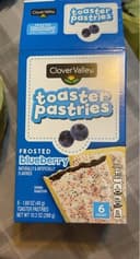 Blueberry toaster pastries