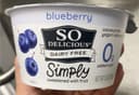 Coconut Milk Yogurt Alternative Blueberry