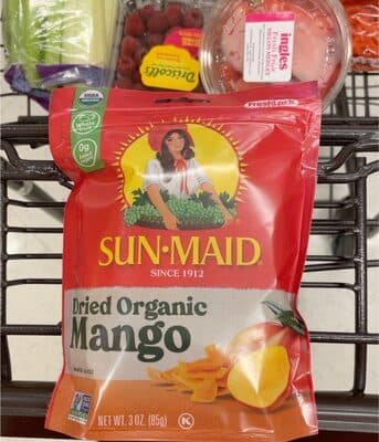 Organic Dried Mango Unsweetened