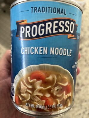 Chicken noodle