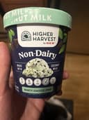 Non-Dairy Minty Choco Chip Frozen Dessert