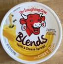 Blends lentil & cheese spread with Curry