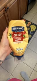 Spicy Mayonnaise