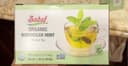 Organic Moroccan mint
