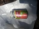 Guava