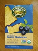Unfrosted Buncha Blueberries Toaster Pastries