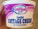 Cottage Cheese